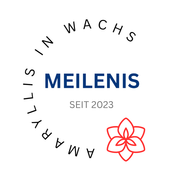 MEILENIS - Amaryllis in wachs